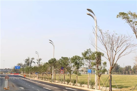 榮膺2019年度國(guó)家科技進(jìn)步獎(jiǎng)一等獎(jiǎng)